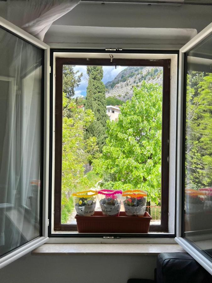 Apartment Kiki Kotor Zewnętrze zdjęcie