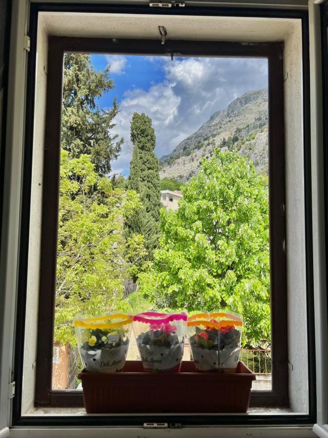 Apartment Kiki Kotor Zewnętrze zdjęcie